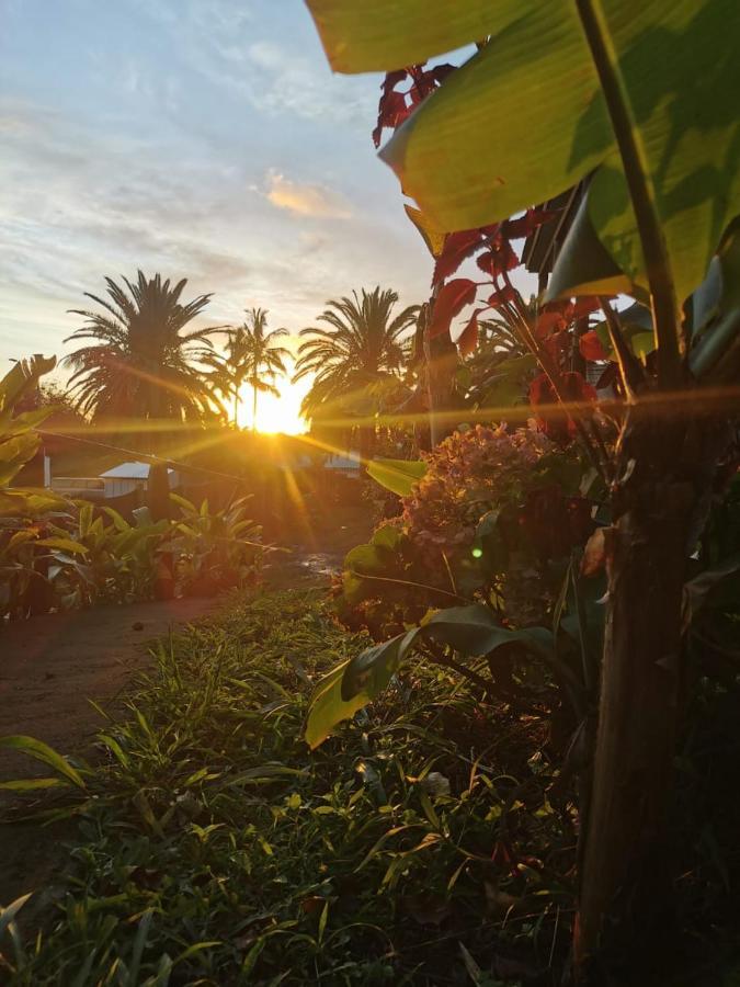 Hostal Tu'U Koihu Анґа-Роа Екстер'єр фото