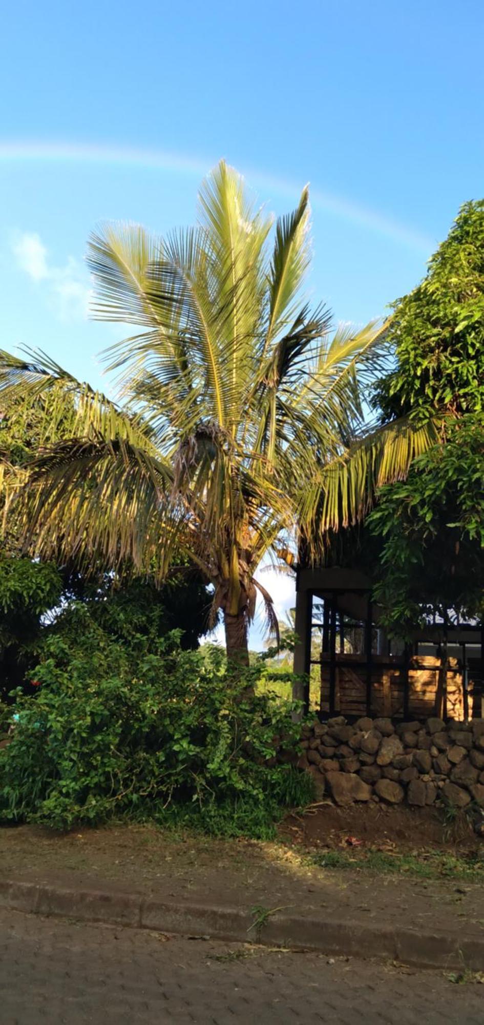 Hostal Tu'U Koihu Анґа-Роа Екстер'єр фото
