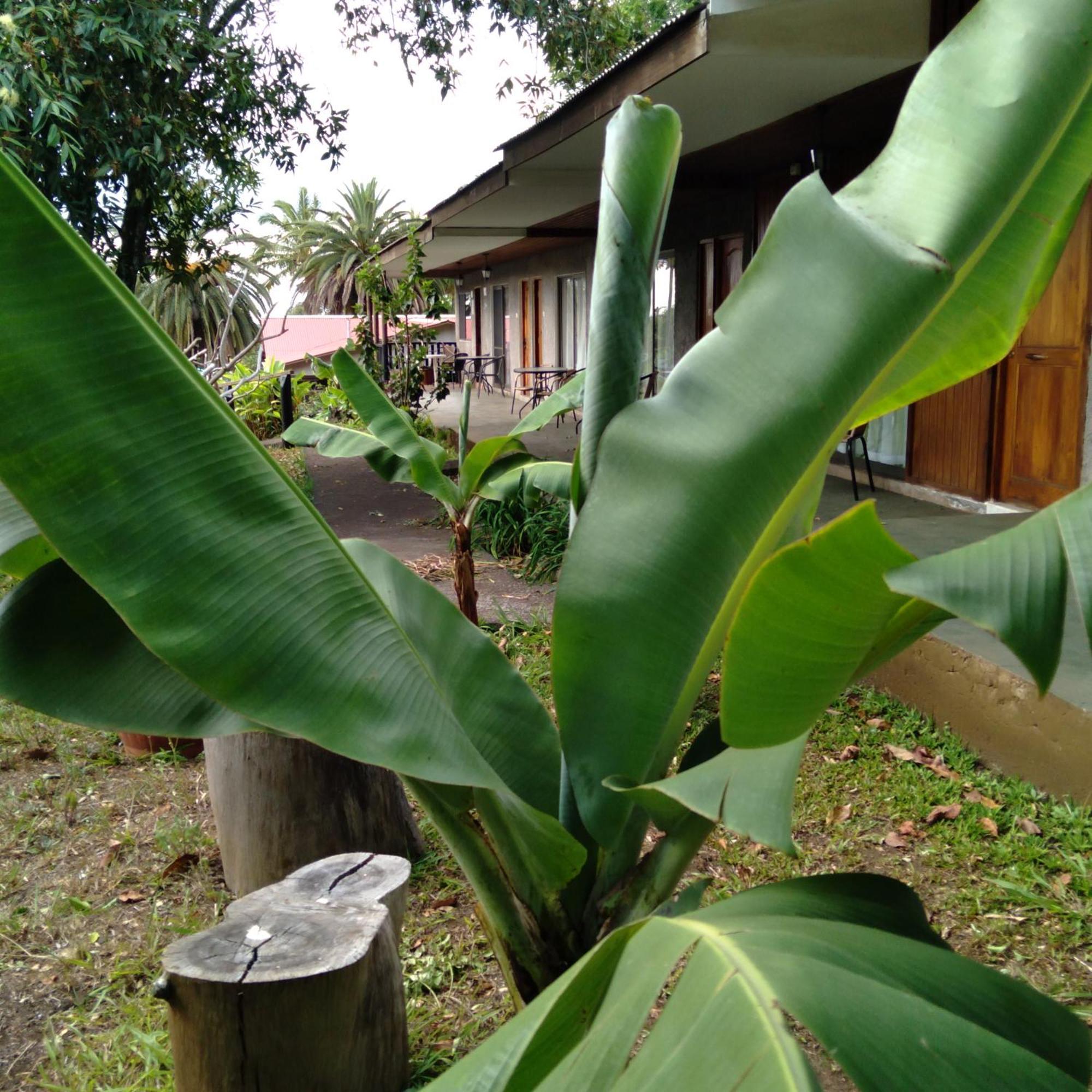 Hostal Tu'U Koihu Анґа-Роа Екстер'єр фото