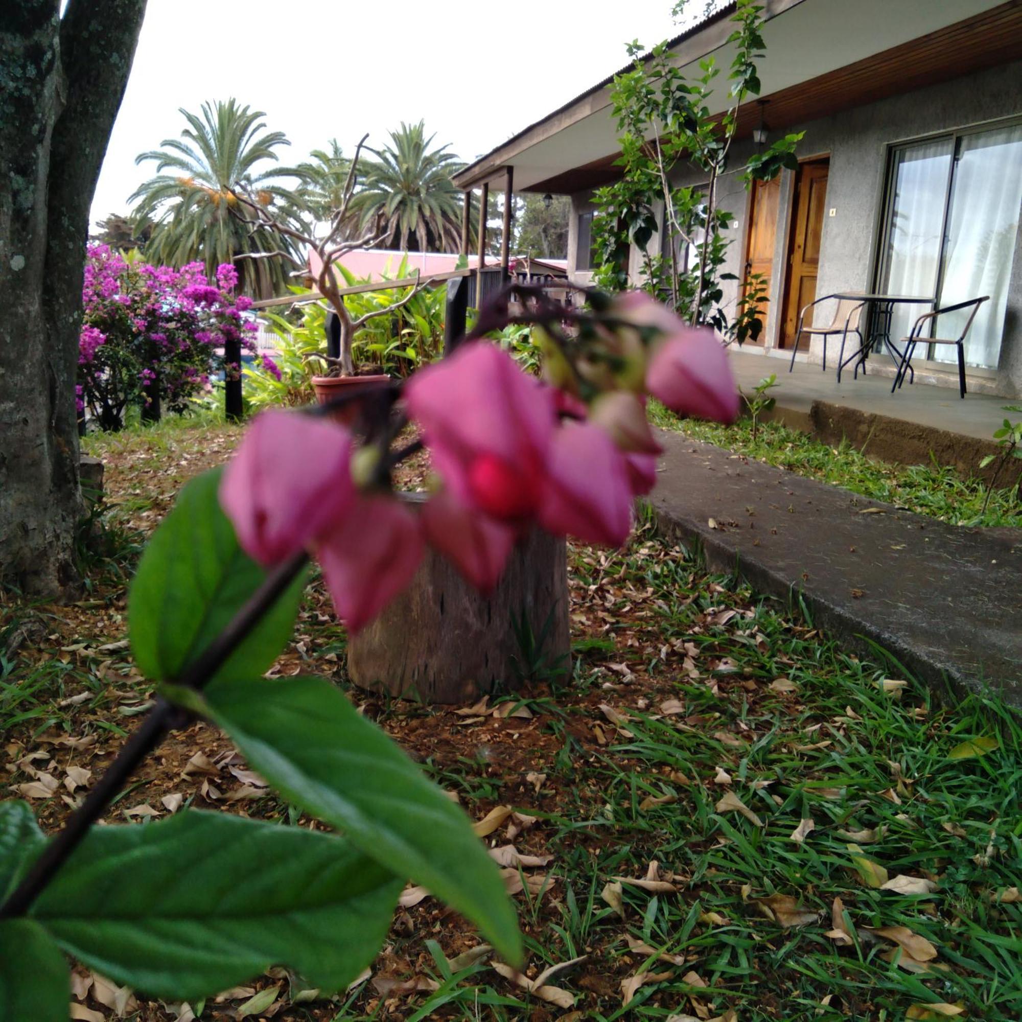 Hostal Tu'U Koihu Анґа-Роа Екстер'єр фото